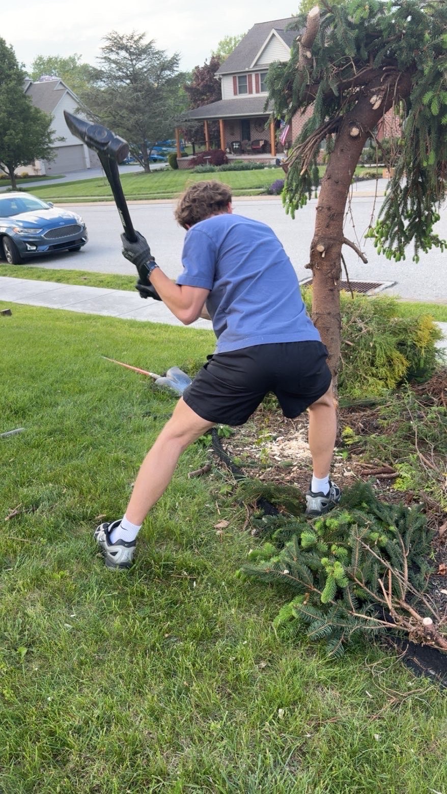 Crew at work on a Hanover lawn
