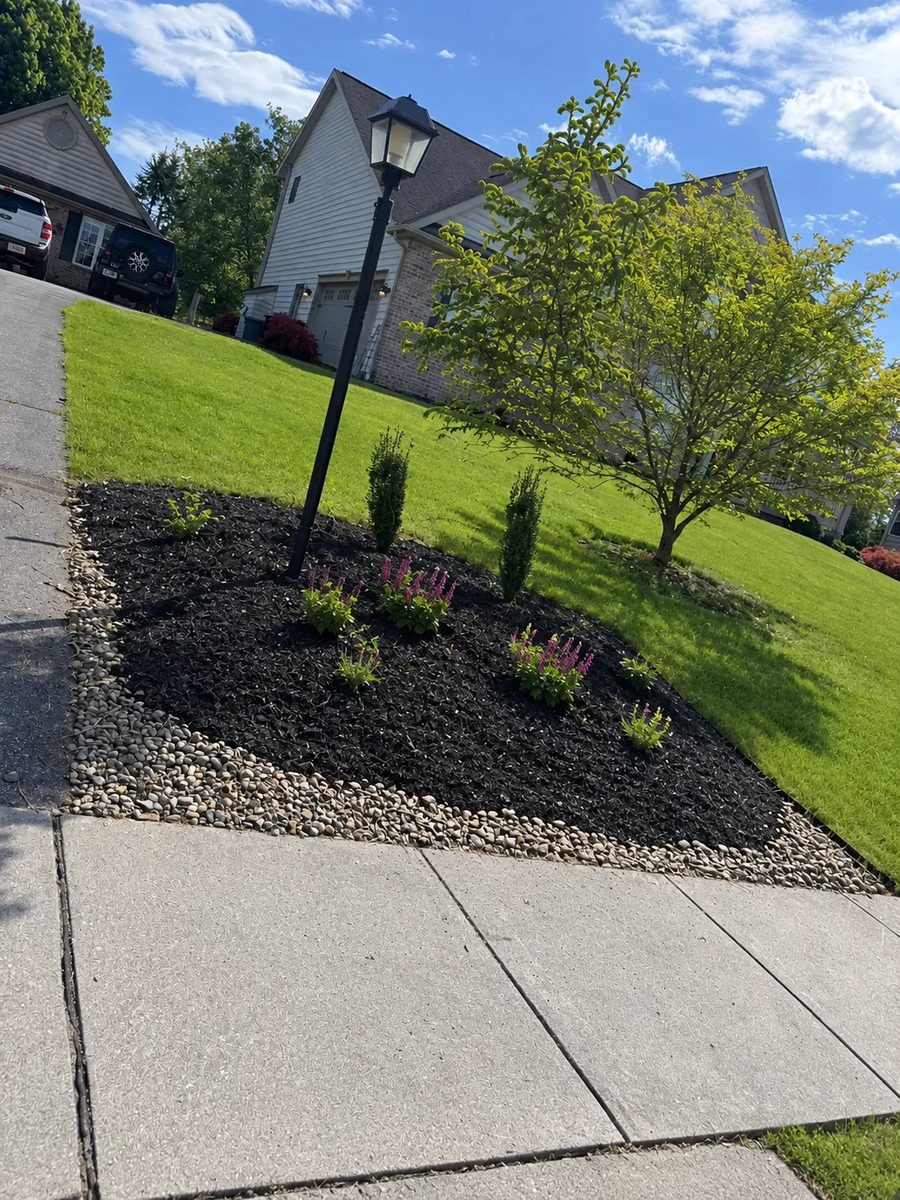 After: fresh black mulch, new plants and a river-rock border